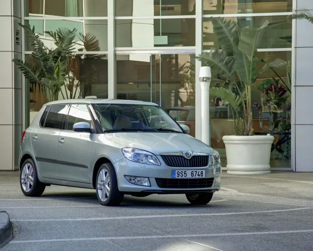 Skoda Fabia 2010 хетчбек — 19