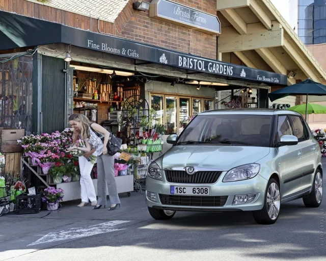 Skoda Fabia 2010 хетчбек — 20