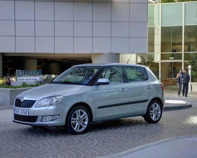 Skoda Fabia 2010 хетчбек — 17