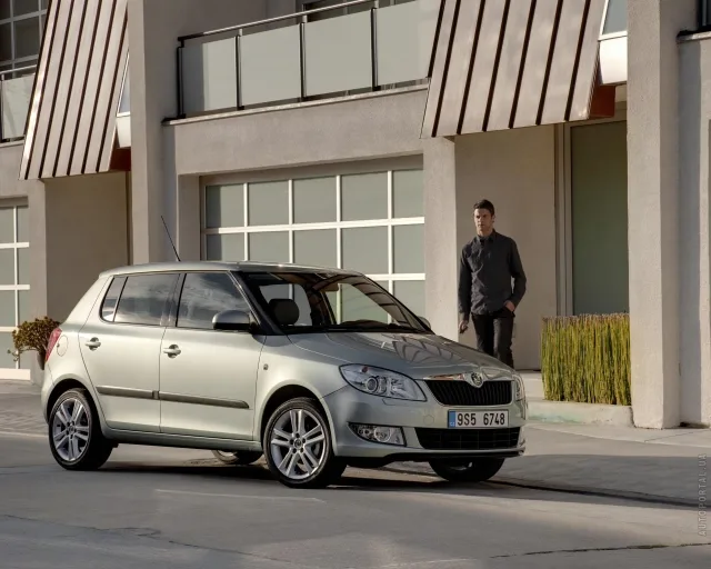Skoda Fabia 2010 хетчбек — 25