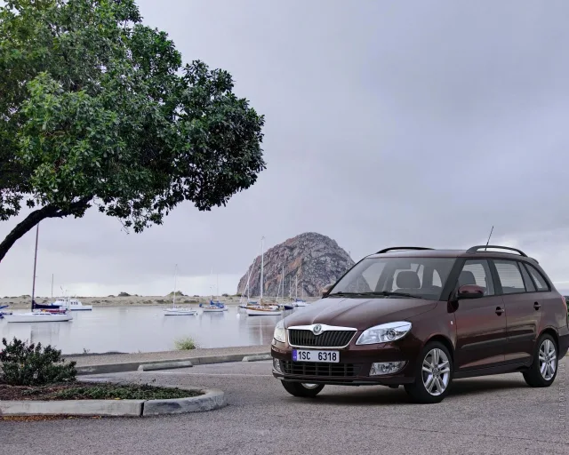 Skoda Fabia Combi 2010 універсал — 16