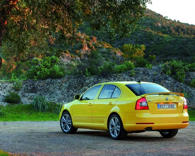 Skoda Octavia RS хетчбек — 13