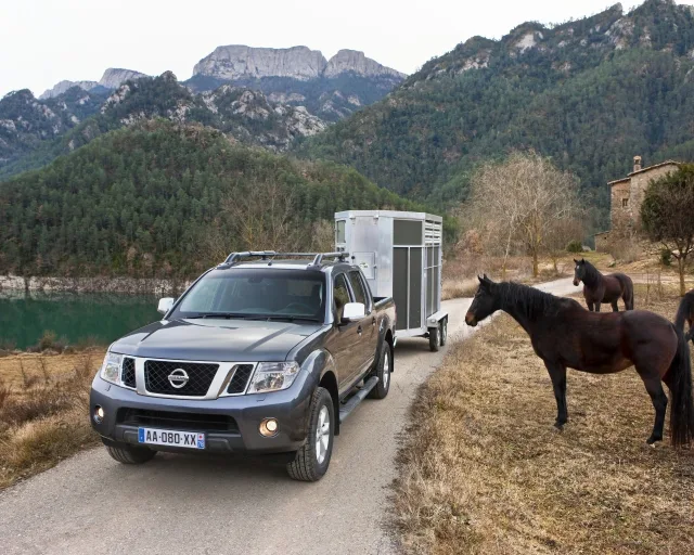 Nissan Navara 2010 — 8
