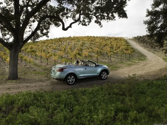 Nissan Murano CrossCabrio — 13
