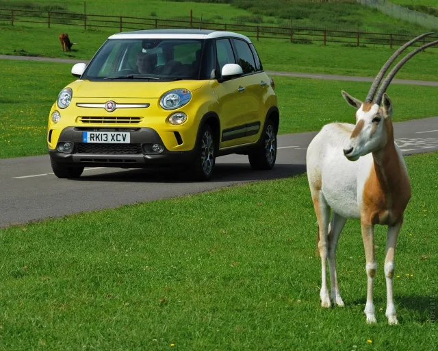 Fiat 500 L Trekking універсал — 10