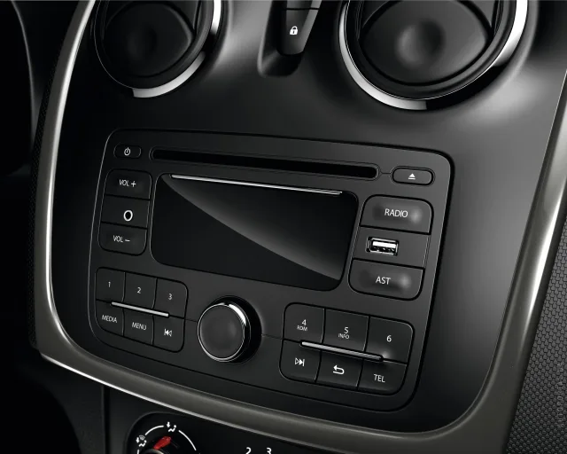 Renault Sandero Stepway 2012 (Рено Сандеро Степвэй) 5-ти дверный хэтчбек — 4