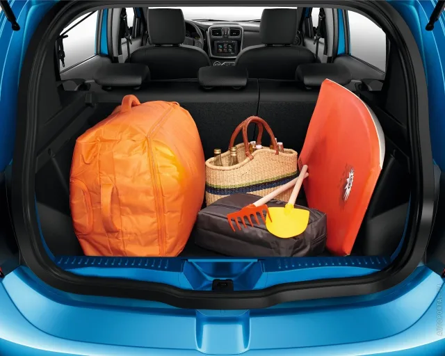 Renault Sandero Stepway 2012 (Рено Сандеро Степвэй) 5-ти дверный хэтчбек — 13