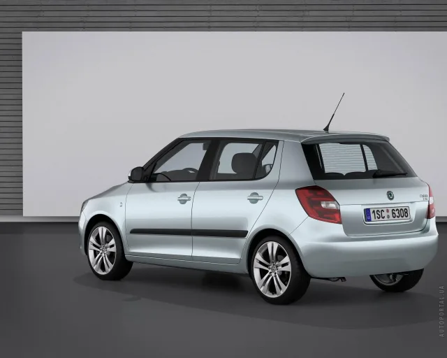 Skoda Fabia 2010 хетчбек — 22