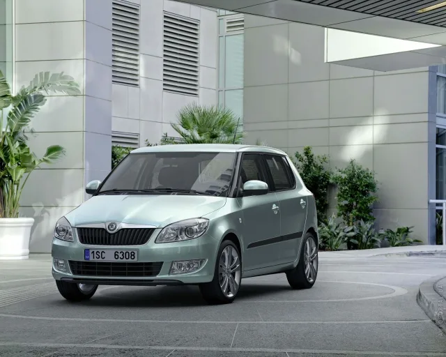 Skoda Fabia 2010 хетчбек — 21