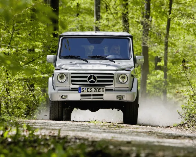 Mercedes-Benz G-Class 2008 позашляховик — 18
