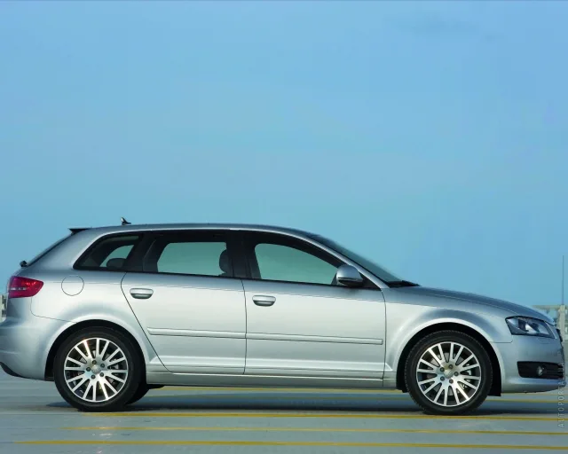 Audi A3 Sportback 2009 5-дверний хетчбек — 14