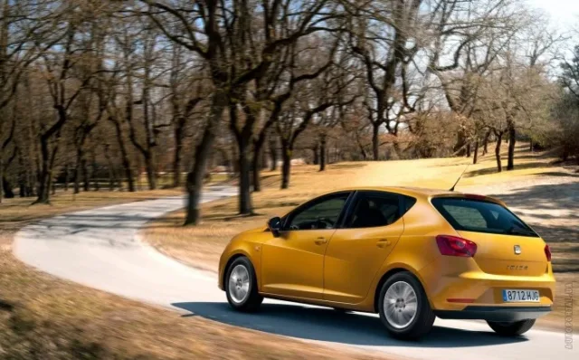 SEAT Ibiza 2012 (СЕАТ Ибица) хэтчбек — 15