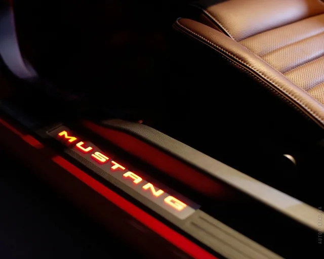 Ford Mustang 4.6 AT — 22