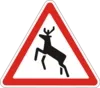 Wild animals
