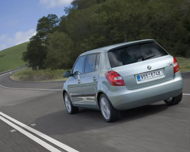 Skoda Fabia 2010 хетчбек — 24