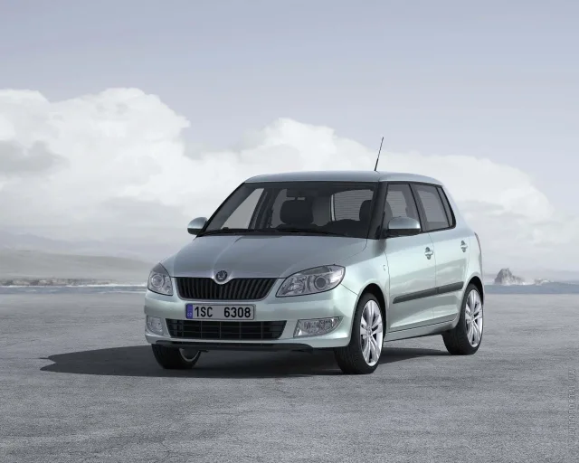 Skoda Fabia 2010 хетчбек — 23