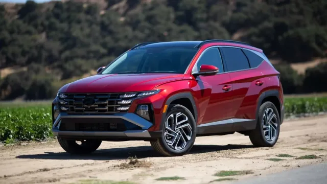 Названо топ-5 найпопулярніших бензинових авто в Україні у січні 2026