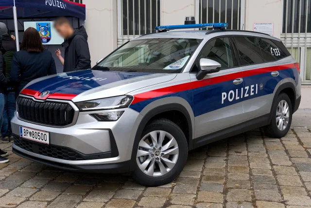 Skoda Kodiaq II покоління — 5