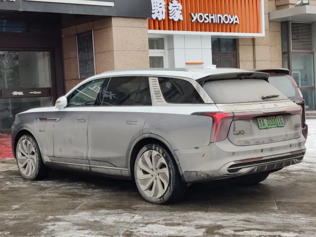 Hongqi E-HS9 (Хунці Е-ХС9) кросовер — 6