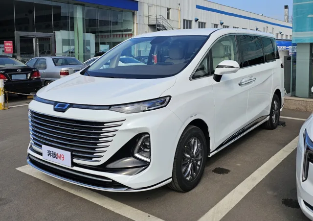 Hongqi HQ9 2.0T AT — 2