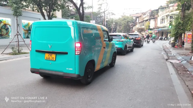 VinFast EC Van EV — 2