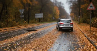 Wet leaves are more dangerous than rain: 5 rules of autumn driving