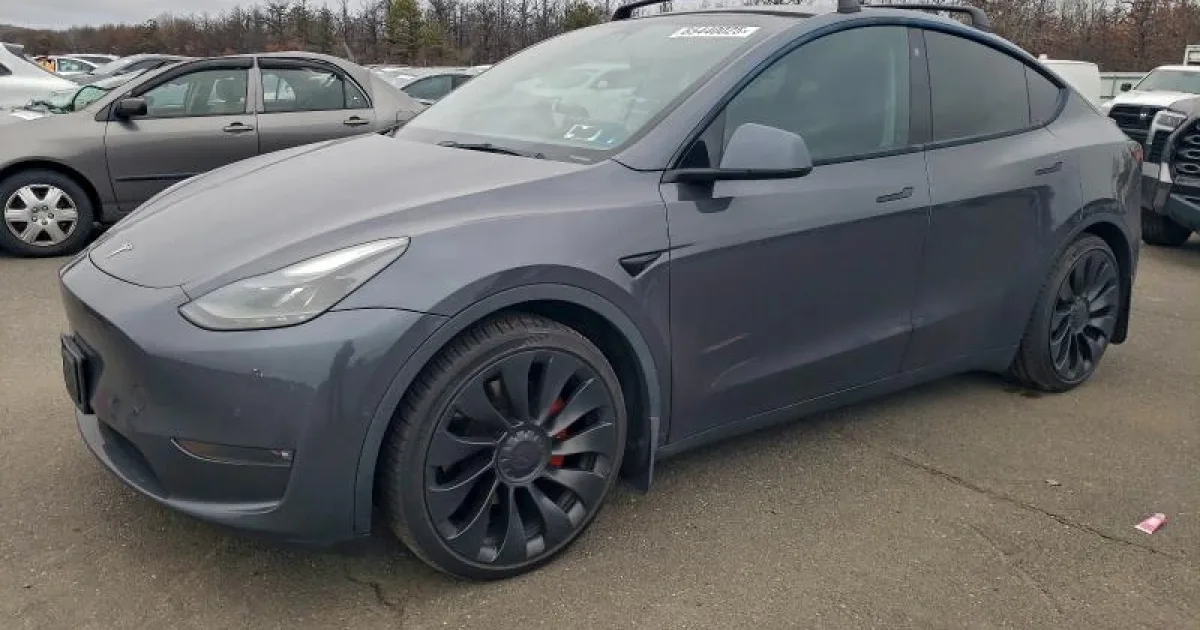Tesla Model Y.jpg