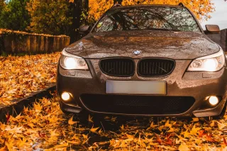 Автомобіль стоїть під деревом: чим небезпечні листя, гілки та смола